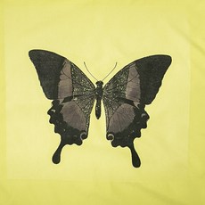 ccoczzi 蝴蝶圖案被單, 混色