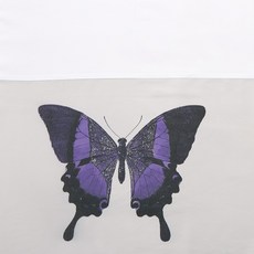 ccoczzi 蝴蝶圖案床單