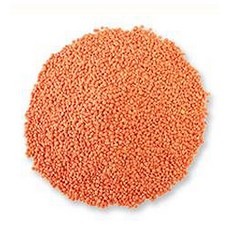 두손애약초 주황렌틸콩 통, 1kg, 1개