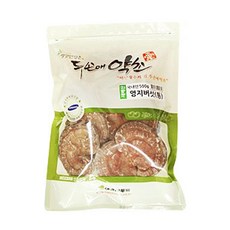 두손에약초 영지버섯_통, 500g, 1입, 1개