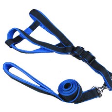 애견 컬러 가슴줄 PYW2968, 블루, 1개