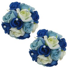 리빙데코 집게 2입세트 12cm, 믹스블루, 2개