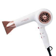 한일전자 BLDC 1850W 전문가용 헤어드라이, BLDC-Z180, 화이트+골드