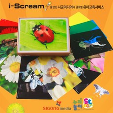누리놀이 교구 빛으로 본 자연의 모습, ㈜시공미디어