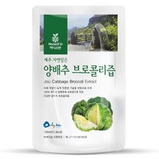 어니스틴 제주담은 양배추 브로콜리즙 착즙, 100ml, 30개