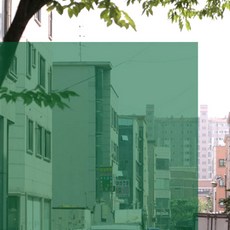 靜電遮光玻璃窗貼 GNK-025 透光率25%, 綠色