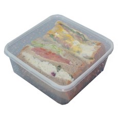 TINA PICNIC 小號正方形便當包裝容器, 10入, 10個