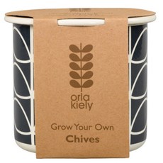 드래곤플라이 올라 카일리 허브 기르기 패키지, 차이브, 1개