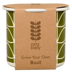 드래곤플라이 올라 카일리 허브 기르기 패키지, 바질, 1개
