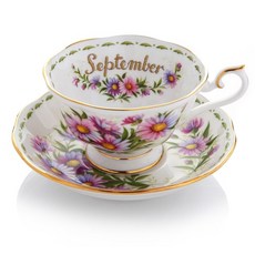 로얄알버트 MICHAELMAS DAISY TEA CUP + SAUCER(AVON) 9월, 혼합색상, 1개, 1세트