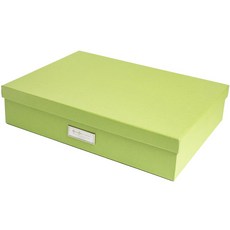 VIS BIGSO 페이퍼 A3 수납, 그린, 1단