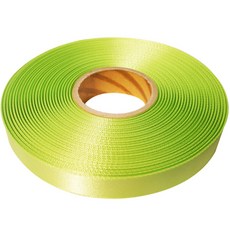 高密度緞面緞帶 25mm, C17 嫩綠色, 45m
