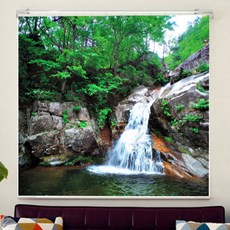 쥐엔쥐 풍경2 실사 롤스크린