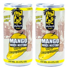 마야 망고 넥타 음료, 250ml, 2개