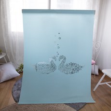 미레 레이저블라인드 스완