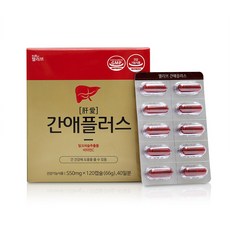 웰리브 간애플러스, 120정, 1개