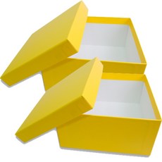Box Monster 藝術禮品包裝盒, 黃色, 2個