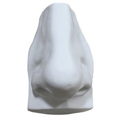 人體鼻部石膏像, 1 個, 20 x 13 厘米