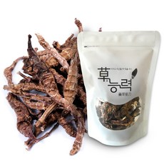 초능력 전통 초석잠누에차, 100g, 1개