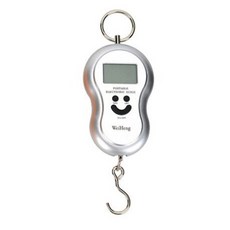 블럭마트 휴대용 전자저울 실버 50kg, 1개