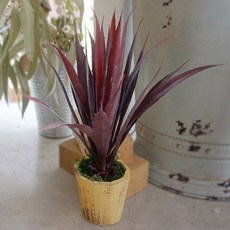 플라워마트 조화 포트 옐로우, 레드 드라세나, 1개, 1개