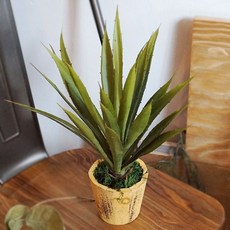 플라워마트 조화 포트 옐로우, 그린 드라세나, 1개, 1개