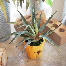 플라워마트 조화 포트 옐로우, 그레이 판다누스, 1개, 1개