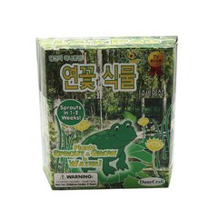 듄크래프트 식물키우기KIT 연꽃 식물