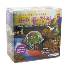 듄크래프트 식물키우기KIT 바이블 정원, 재료 13p