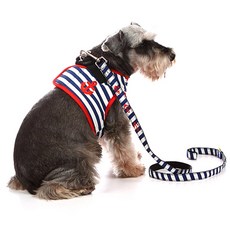 PETSLAND 海洋風寵物胸背帶 S, 1 個, 藍街