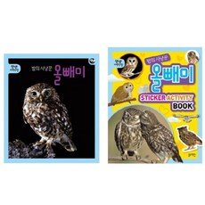 밤의 사냥꾼 올빼미 세트, 블루래빗