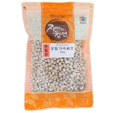 자연의 향연 모링가속씨앗, 300g, 1개