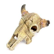 海豚 水牛骷髏躲藏處, 1個