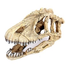 海豚 恐龍骷髏躲藏處, 1個