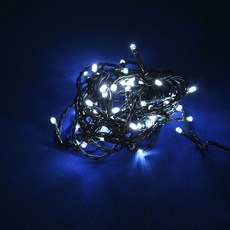 플라워마트 LED60P 컨트롤박스 일체형 LED60P, 그린선, 화이트, 1개