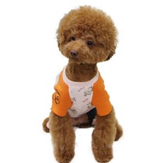 본퍼피 톰소여 청올인원, 오렌지, 1개