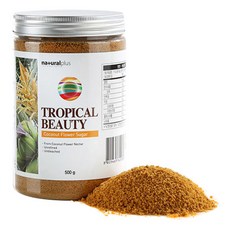 트로피칼뷰티 코코넛플라워 슈가 흑설탕, 1개, 500g