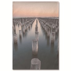 abundance 照片設計遮蔽簾, GM81056