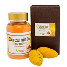 건강1번지 커큐민 95 강황 추출물, 100g, 1개