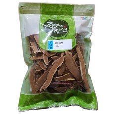 자연의 향연 영지버섯, 300g, 1개