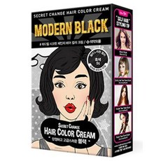 엘앤피코스메틱 시크릿 체인지 헤어컬러 크림 염색제, 1N.흑색, 1개