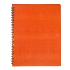 펠리즈 유광 엠보 스프링 클리어 화일, 오렌지, 20매입