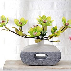 歡樂世界和諧+影橢圓花瓶, 青玉蘭, 1 個