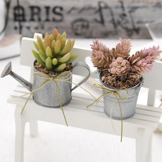 HAPPY WORLD 人造盆栽+迷你長椅擺飾, 肉質的, 1 個