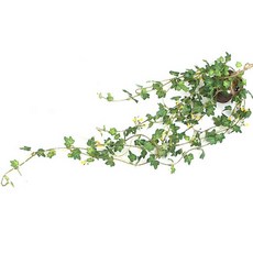 Happy World迷你藤編花籃, 黃色常春藤, 1 個