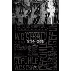 현기증 · 감정들 (세계문학전집 123), 문학동네, 글: W. G. 제발트