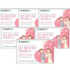 녹십자웰빙 맘스철분 앤 비타민B2 D, 60정, 6개