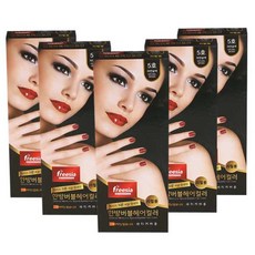 프리지아 한방 버블헤어컬러 리필용, 5호 자연갈색, 5개입, 1개