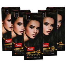 프리지아 한방 버블헤어컬러 리필용, 7호 흑갈색, 5개입, 1개