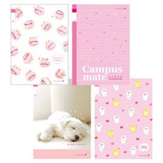 모닝글로리 초등 3-6 무제노트 여자 1, 랜덤발송, 10권